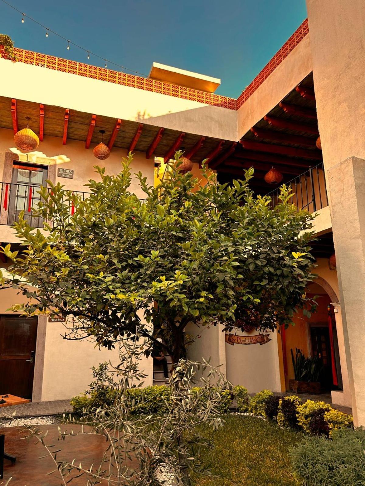 Bed & Breakfast Bito's Boutique San Miguel de Allende