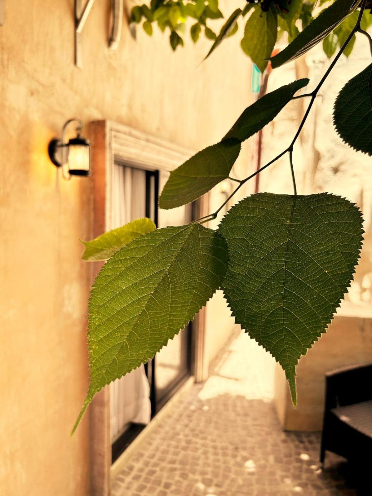 Bito's Boutique Bed & Breakfast