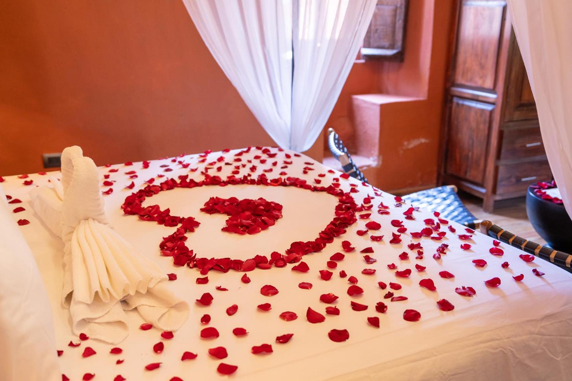 Bito's Boutique Bed & Breakfast